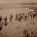 View album