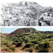 View album